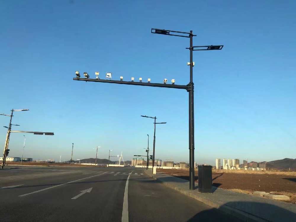 宁乡市黑龙江佳木斯综合路灯杆项目