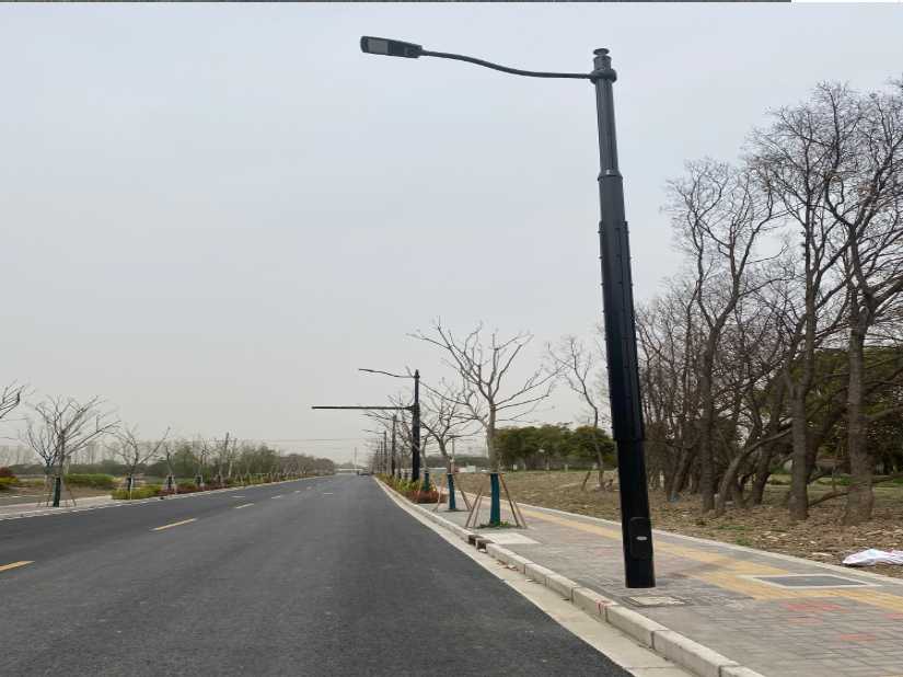 宁乡市上海综合杆 太阳能路灯工程